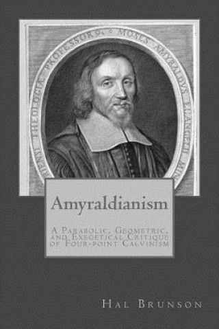 Книга Amyraldianism: A Parabolic, Geometric, and Exegetical Critique of Four-point Calvinism Hal Brunson Ph D