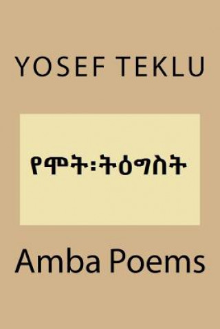 Könyv Amba Poems Yosef T Teklu