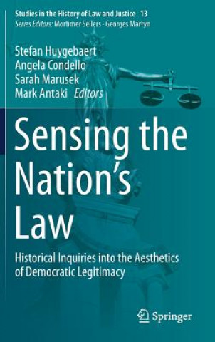 Kniha Sensing the Nation's Law Mark Antaki