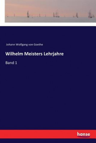 Knjiga Wilhelm Meisters Lehrjahre JOHANN WOLFG GOETHE