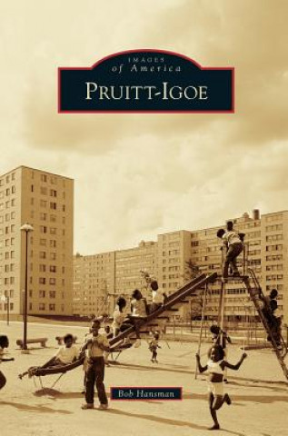 Kniha Pruitt-Igoe Bob Hansman