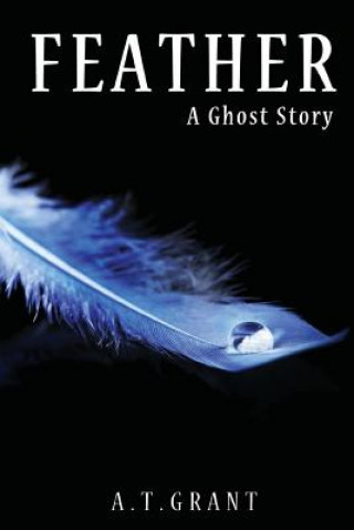 Buch Feather: A Ghost Story A T Grant