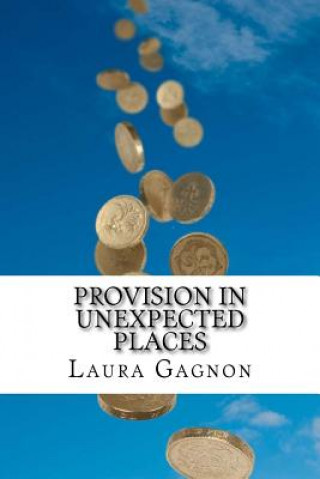 Kniha Provision in Unexpected Places Laura Gagnon
