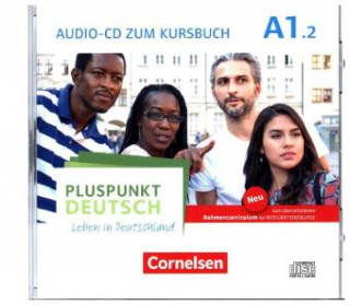 Audio Pluspunkt Deutsch - Leben in Deutschland - Allgemeine Ausgabe - A1: Teilband 2. Tl.2 Joachim Schote