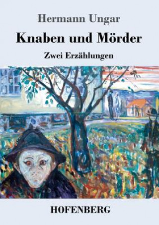 Könyv Knaben und Moerder Hermann Ungar