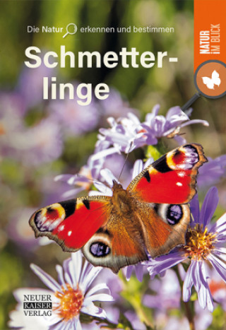 Knjiga Schmetterlinge 