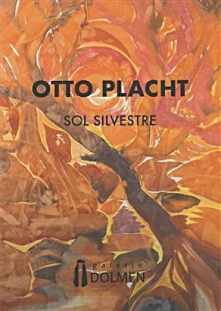 Книга Otto Placht - Sol Silvestre Otto Placht