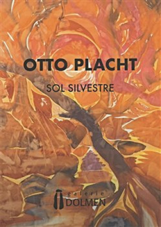 Kniha Otto Placht - Sol Silvestre Otto Placht