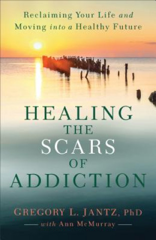 Carte Healing the Scars of Addiction Jantz