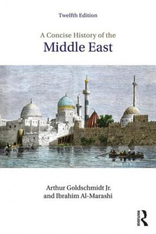 Kniha Concise History of the Middle East Arthur Goldschmidt