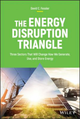 Knjiga Energy Disruption Triangle David C. Fessler