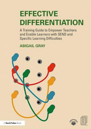 Buch Effective Differentiation Abigail (Senworks Ltd) Gray