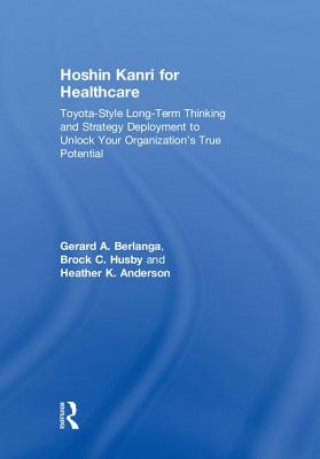 Carte Hoshin Kanri for Healthcare Berlanga