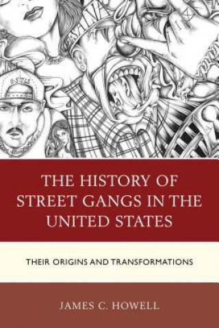 Książka History of Street Gangs in the United States James C. Howell