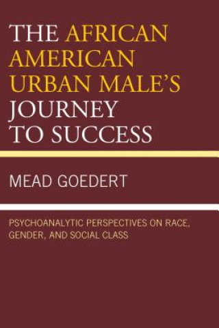 Knjiga African American Urban Male's Journey to Success Mead Goedert