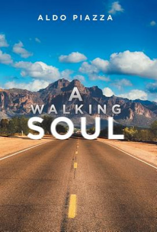 Book Walking Soul ALDO PIAZZA