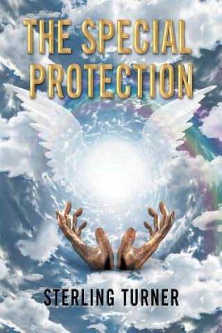 Книга Special Protection STERLING TURNER