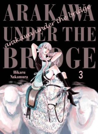 Kniha Arakawa Under The Bridge, 3 Hikaru Nakamura