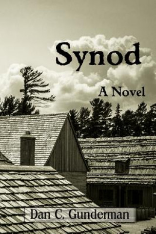 Knjiga Synod DAN C GUNDERMAN