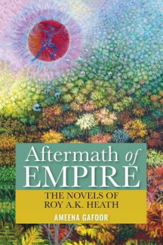 Könyv Aftermath of Empire Ameena Gafoor