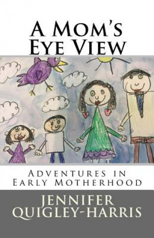 Libro A Mom's Eye View: Adventures in Early Motherhood Jennifer Quigley-Harris