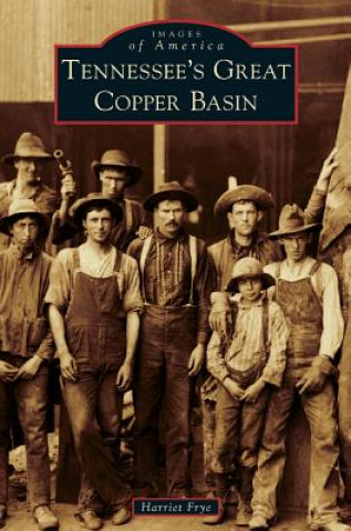 Könyv Tennessee's Great Copper Basin Harriet Frye