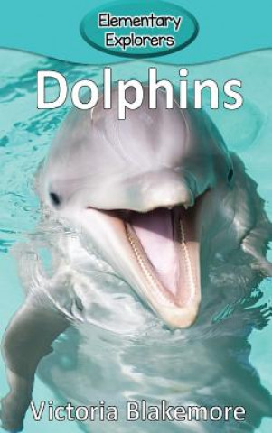 Carte Dolphins Victoria Blakemore