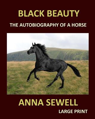 Könyv BLACK BEAUTY ANNA SEWELL Large Print: The autobiography of a horse Anna Sewell