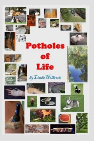 Knjiga Potholes of Life Linda M Holbrook