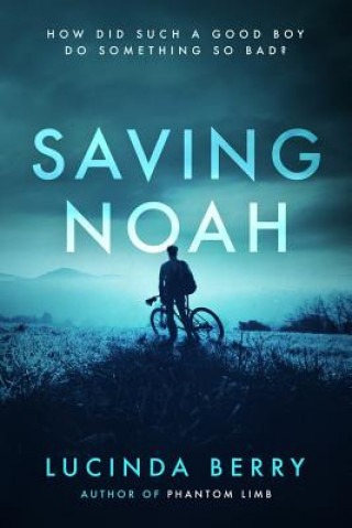 Książka Saving Noah Lucinda Berry