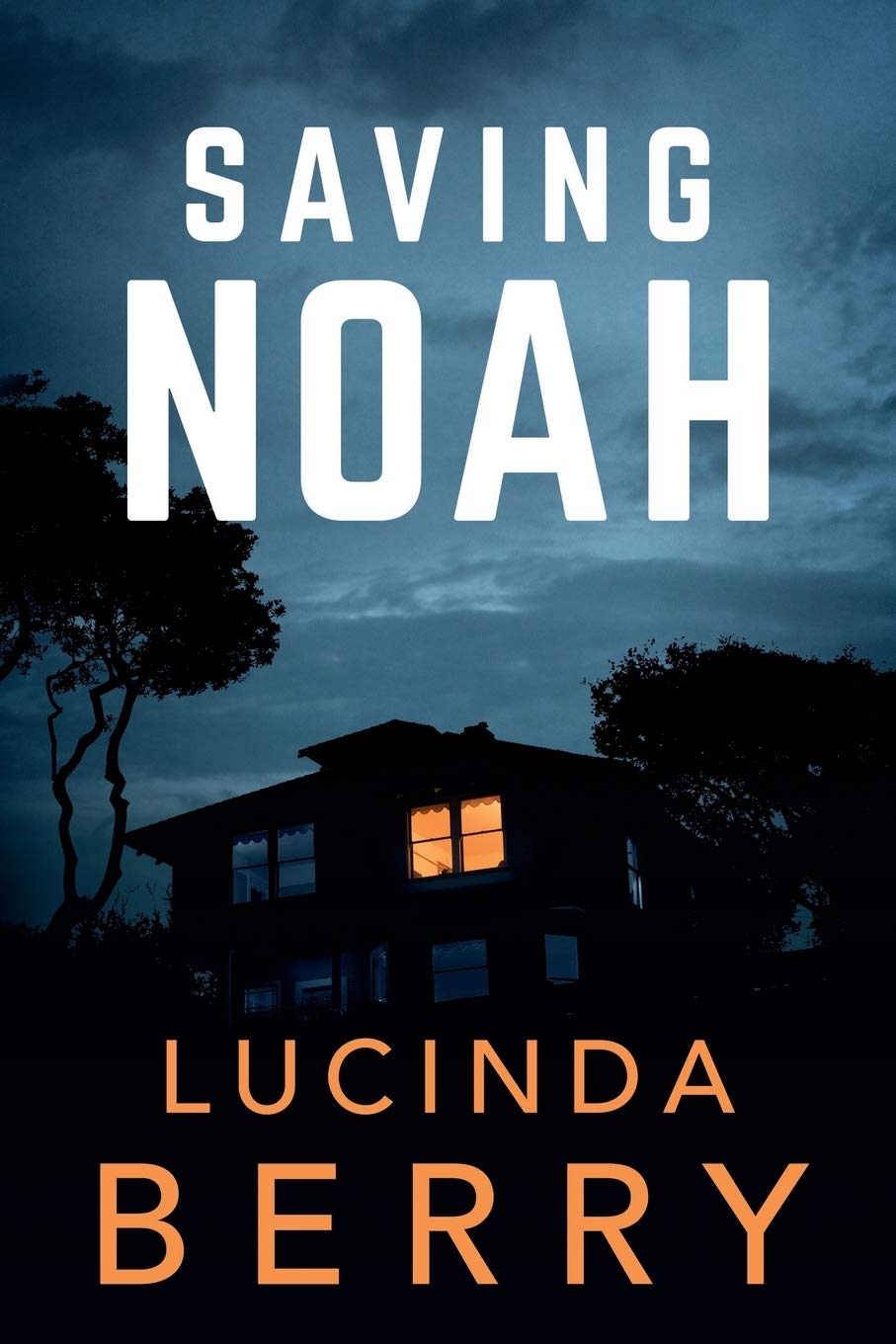Livre Saving Noah Lucinda Berry