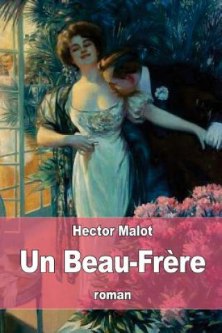 Buch Un Beau-Fr?re Hector Malot