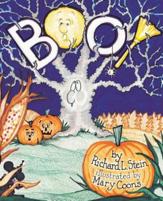 Buch Boo! Richard L Stein
