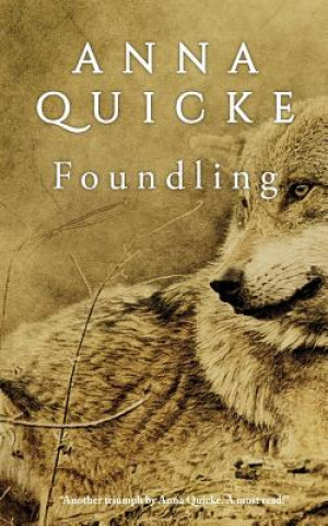 Knjiga Foundling Anna Quicke