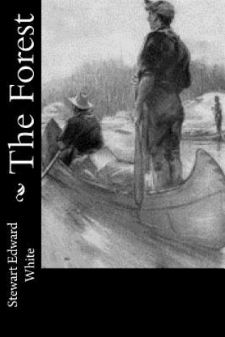 Buch The Forest Stewart Edward White