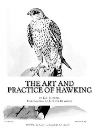 Kniha The Art and Practice of Hawking E B Michell