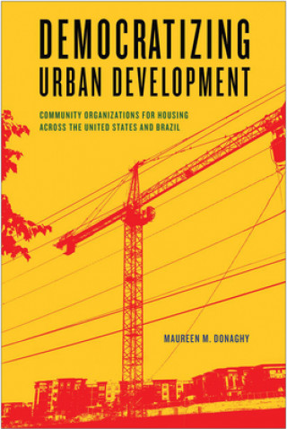 Книга Democratizing Urban Development Maureen M Donaghy
