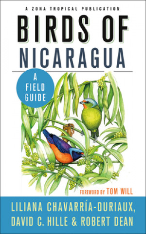 Kniha Birds of Nicaragua Liliana Chavarría-Duriaux
