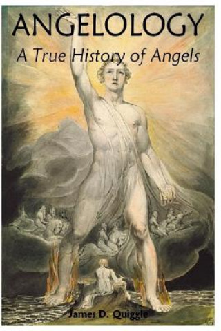 Книга Angelology, A True History of Angels James D Quiggle