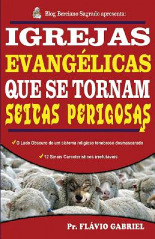 Book Igrejas Evangelicas que se Tornam Seitas Perigosas: O lado obscuro de um sistema religioso desmascarado Flavio Gabriel Da Silva