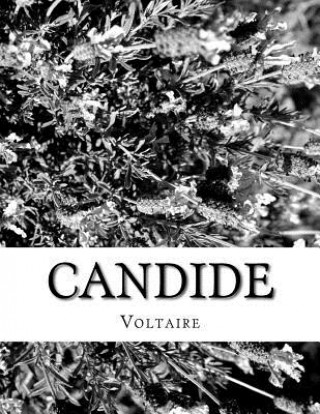 Knjiga Candide Voltaire