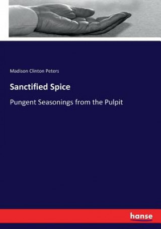 Kniha Sanctified Spice MADISON CLIN PETERS