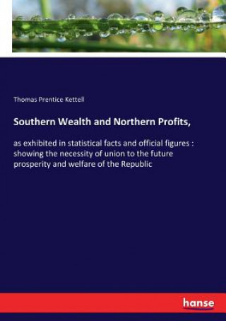 Knjiga Southern Wealth and Northern Profits, Kettell Thomas Prentice Kettell