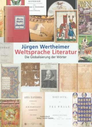Kniha Weltsprache Literatur Jürgen Wertheimer