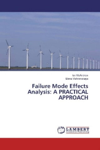 Könyv Failure Mode Effects Analysis: A PRACTICAL APPROACH Ian Mcandrew