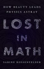 Könyv Lost in Math Sabine Hossenfelder