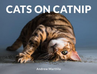 Kniha Cats on Catnip Andrew Marttila