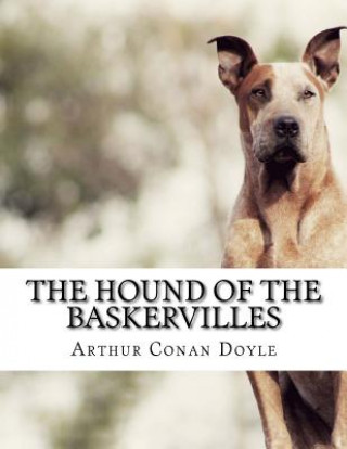 Knjiga The Hound of the Baskervilles Arthur Conan Doyle