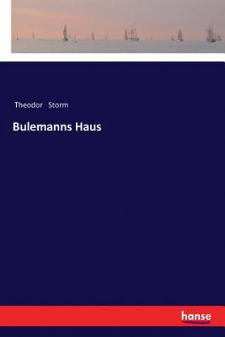 Buch Bulemanns Haus Theodor Storm