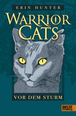 Книга Warrior Cats, Vor dem Sturm Erin Hunter